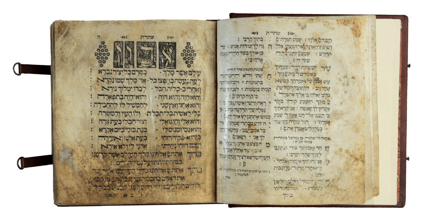 בית המכירות צפונות