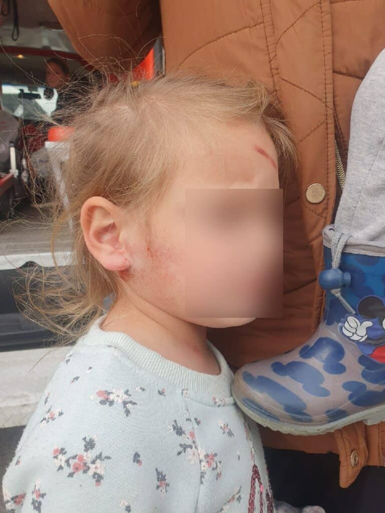 לפי סעיף 27 א