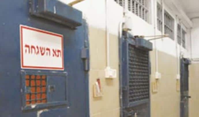 דוברות שב
