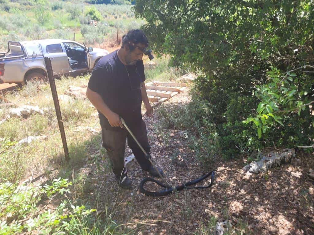 איימן מזעל רשות הטבע והגנים