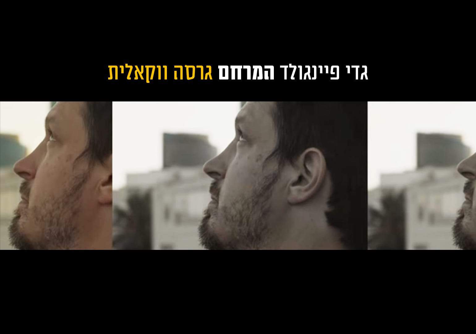 עיצוב גרפי: נוי דקל