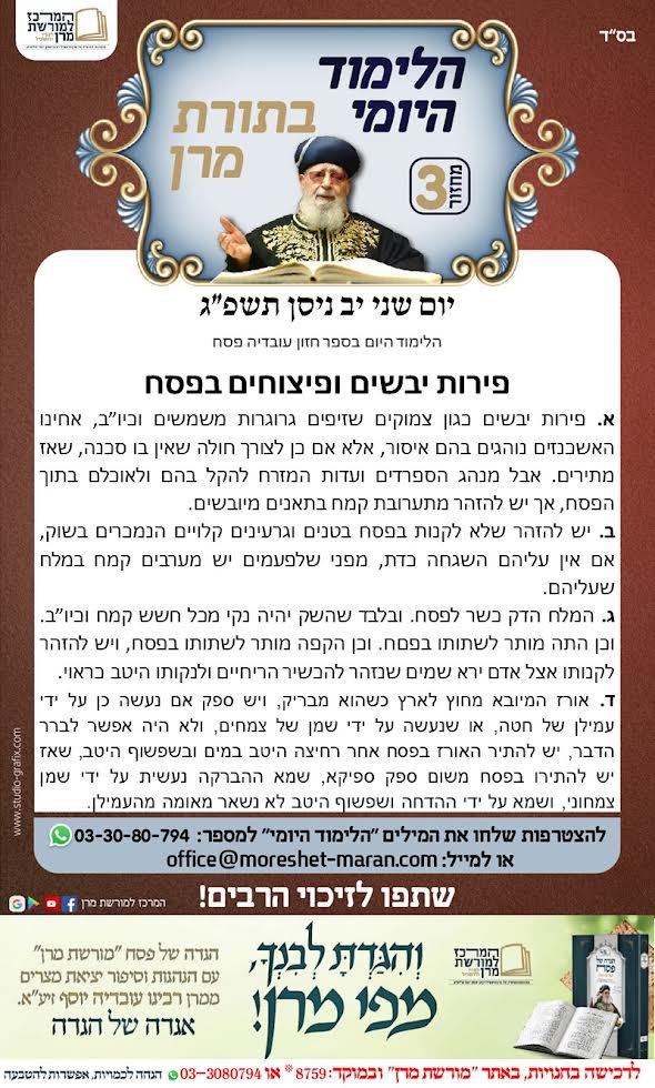 המרכז למורשת מרן