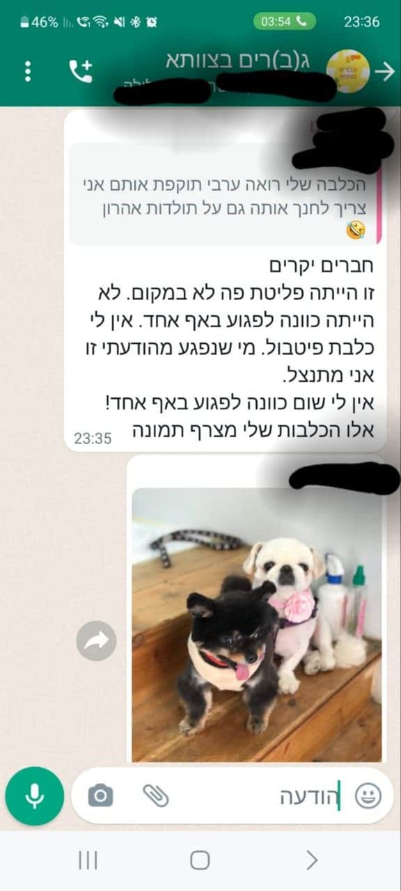 בצלמו