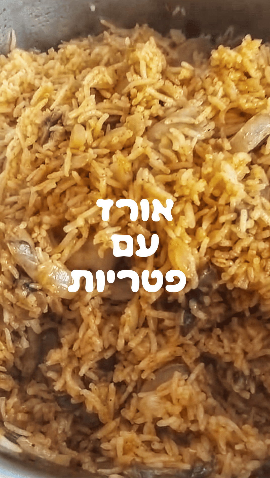 המטבח של שרה מיכאלי