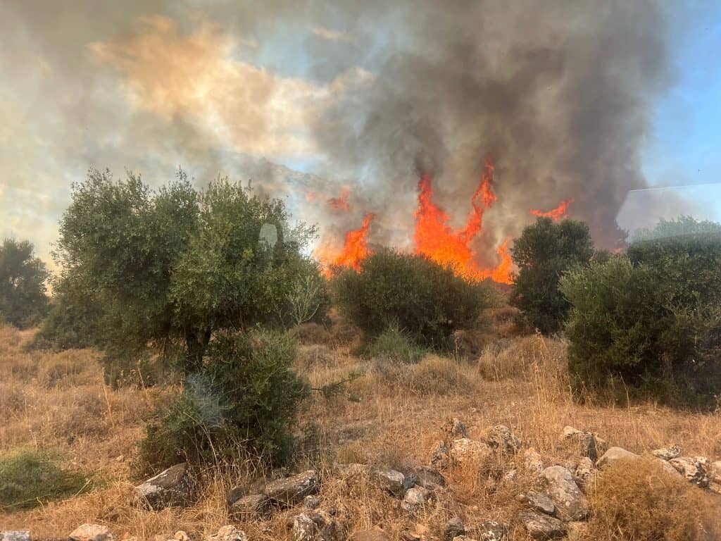 כבאות והצלה