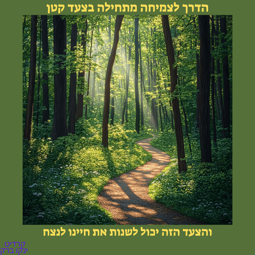 ינקו ברק