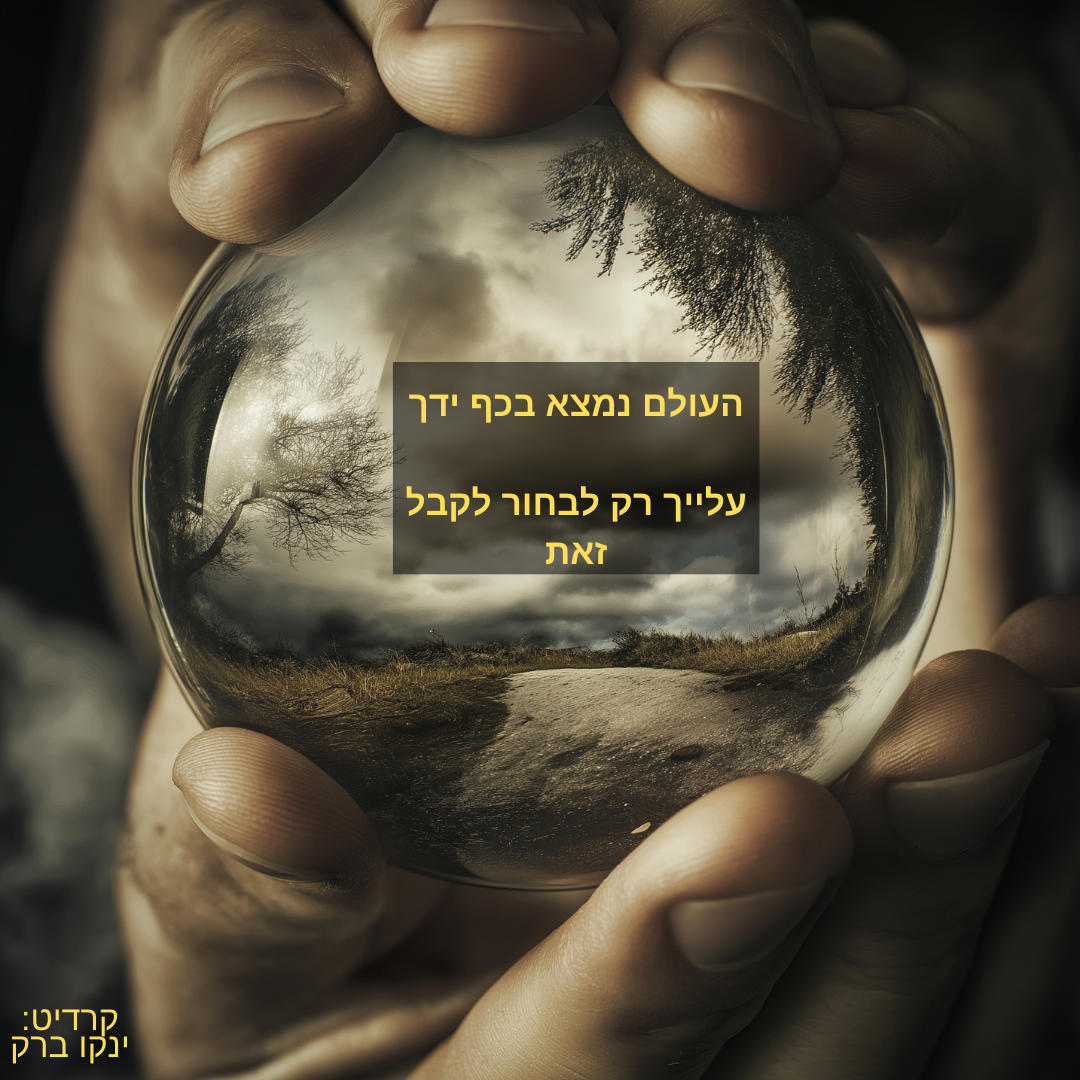 מיטגרני - התמונה. ברק ינקו - הפתגם