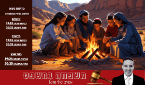 צילום ai