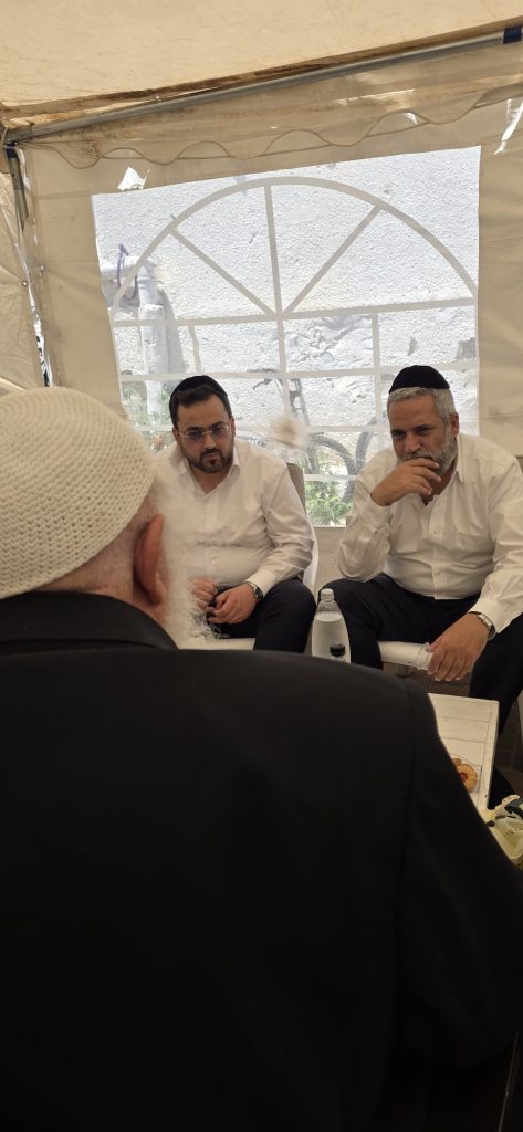 אבי