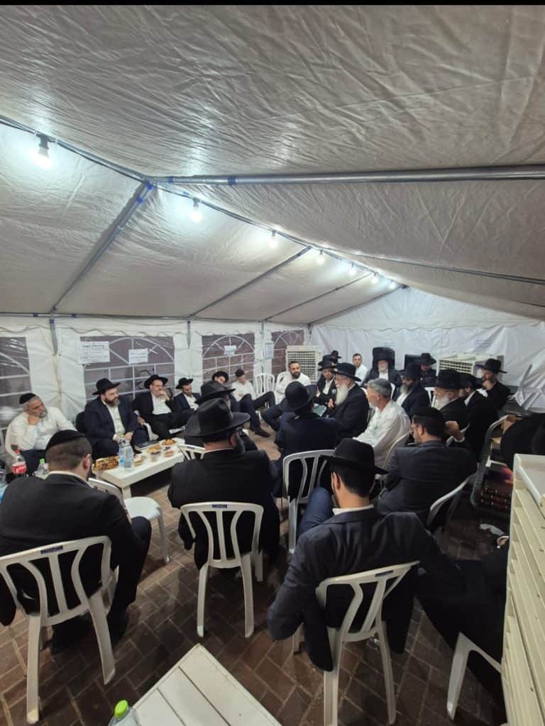 אבי