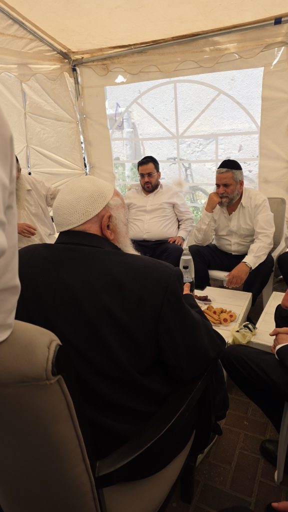 אבי