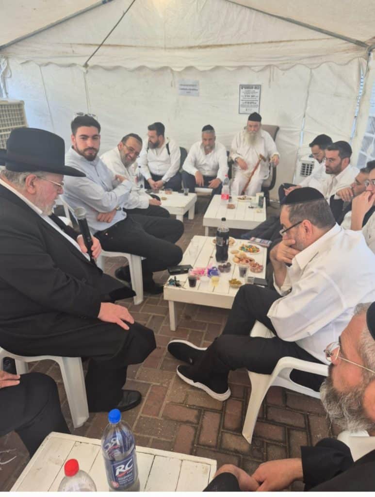 אבי