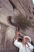 לע"מ