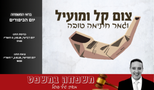 צילום:canva