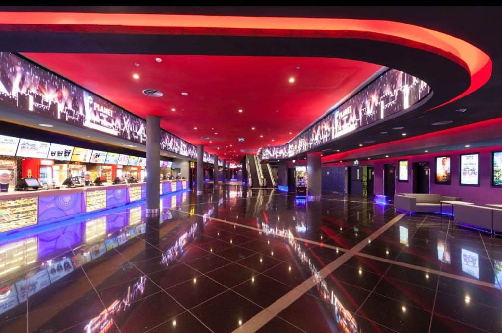 צילום: איל תגר