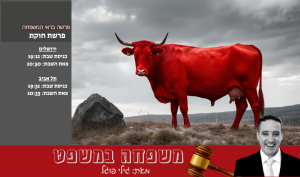 צילום ai