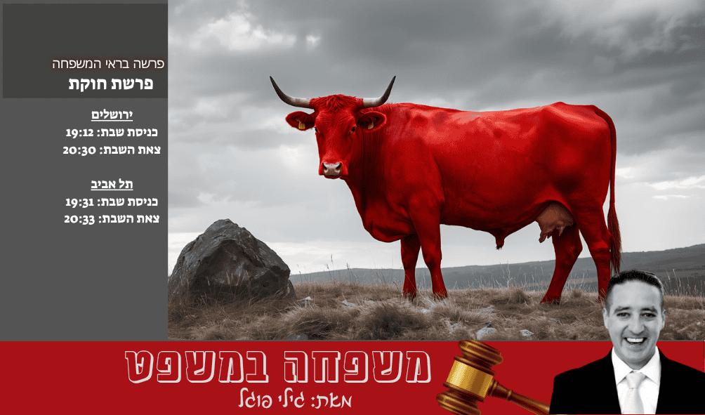 צילום ai