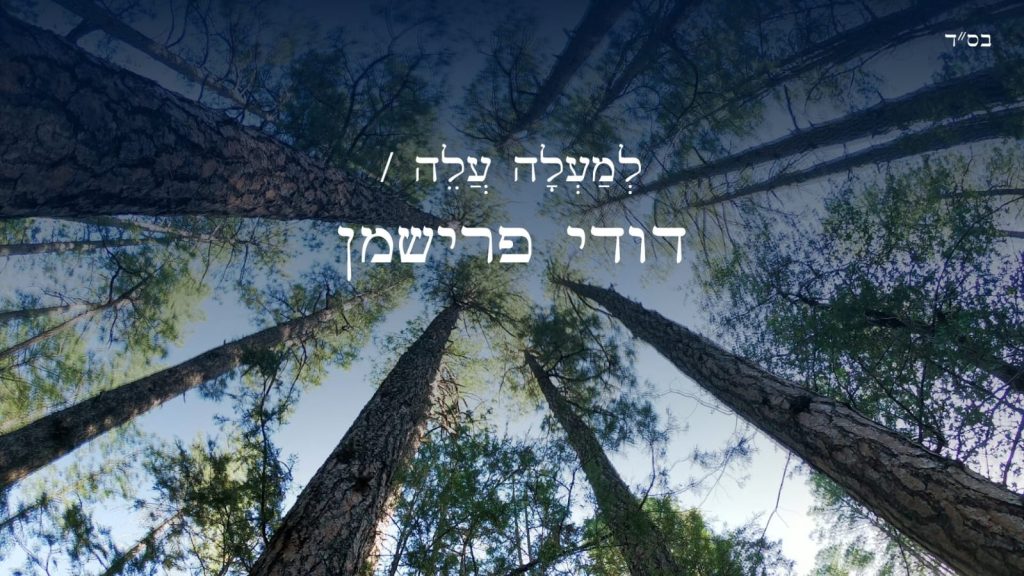 עיצוב גרפי: מירב רון