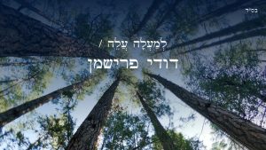 עיצוב גרפי: מירב רון